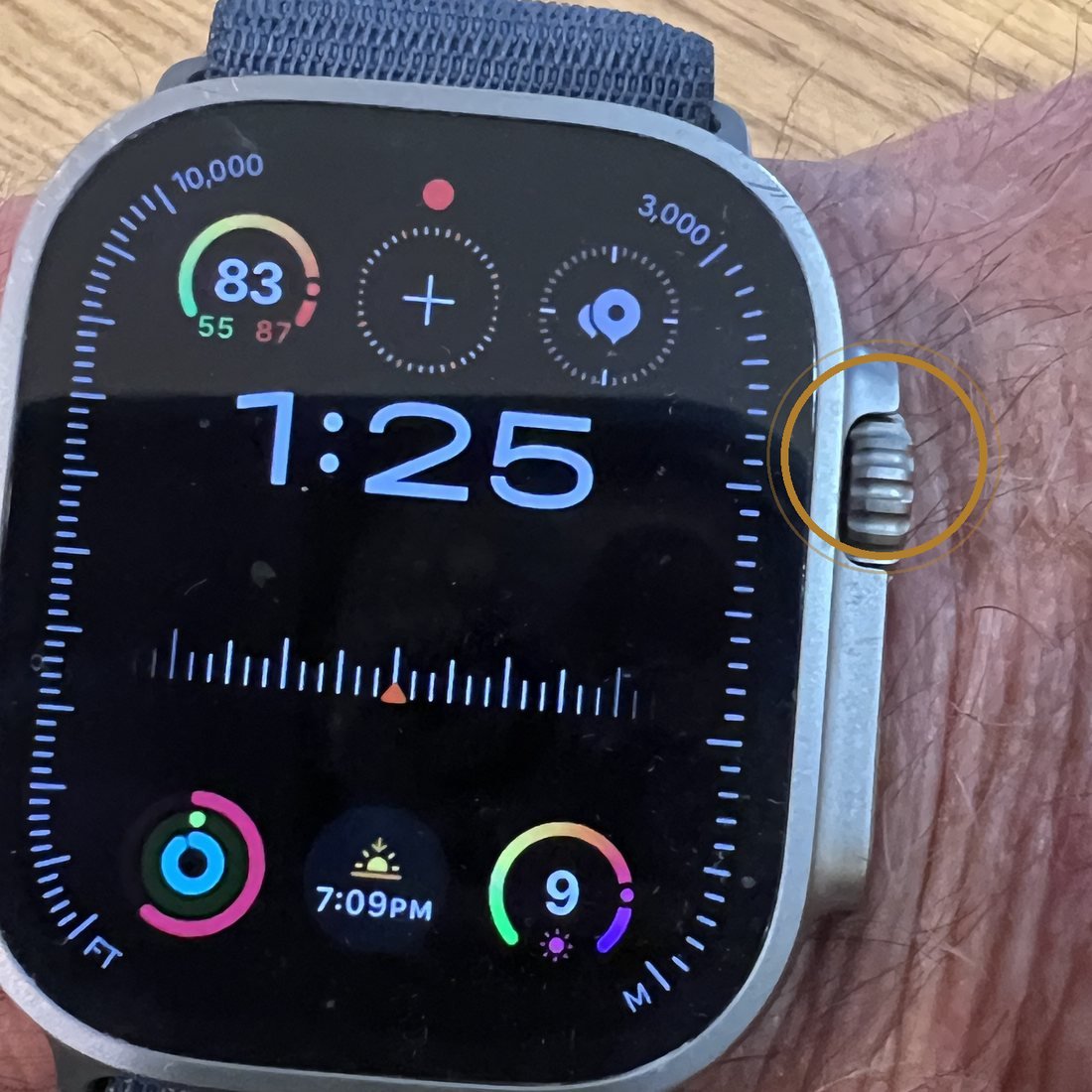 The right-hand side of the Apple Watch Ultra 2 with a gold circle drawn around the ridged Digital Crown dial.
